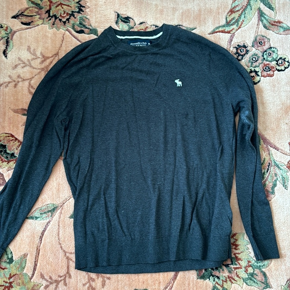 Abercrombie and Fitch Men’s sweater
